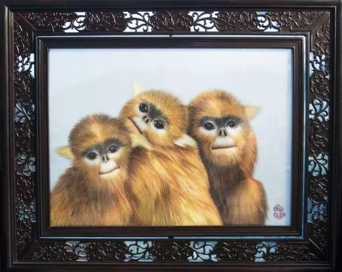 1766564843687983.jpg 黔金丝猴.jpg